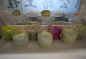 發光樣品